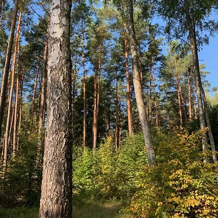 Appartamento Stacja *